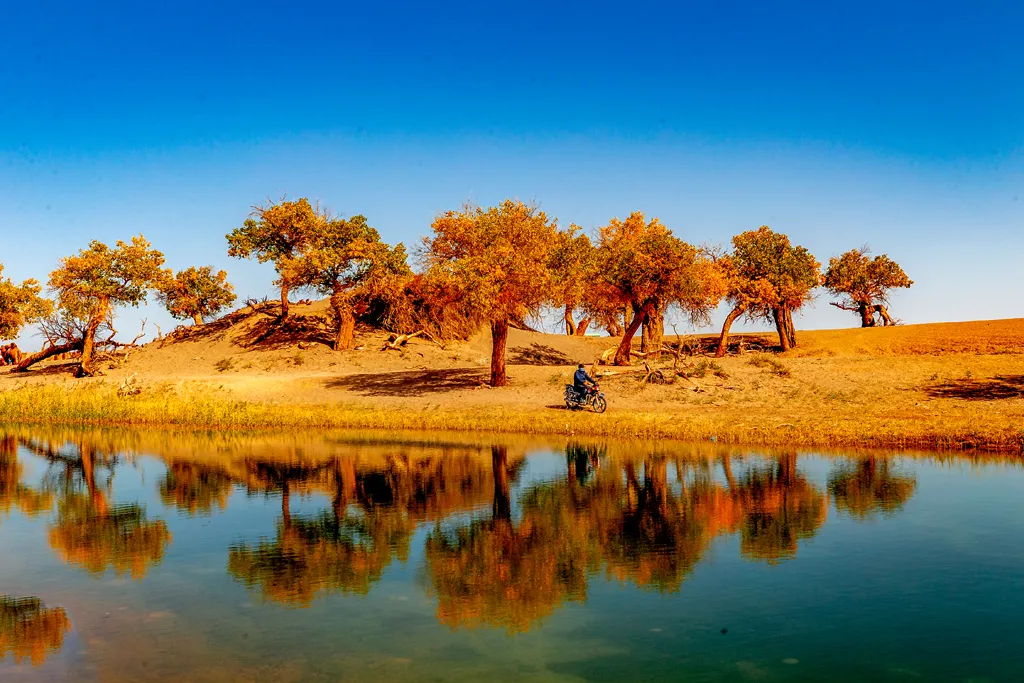 玩转额济纳必做的9件事,差一件都不完美