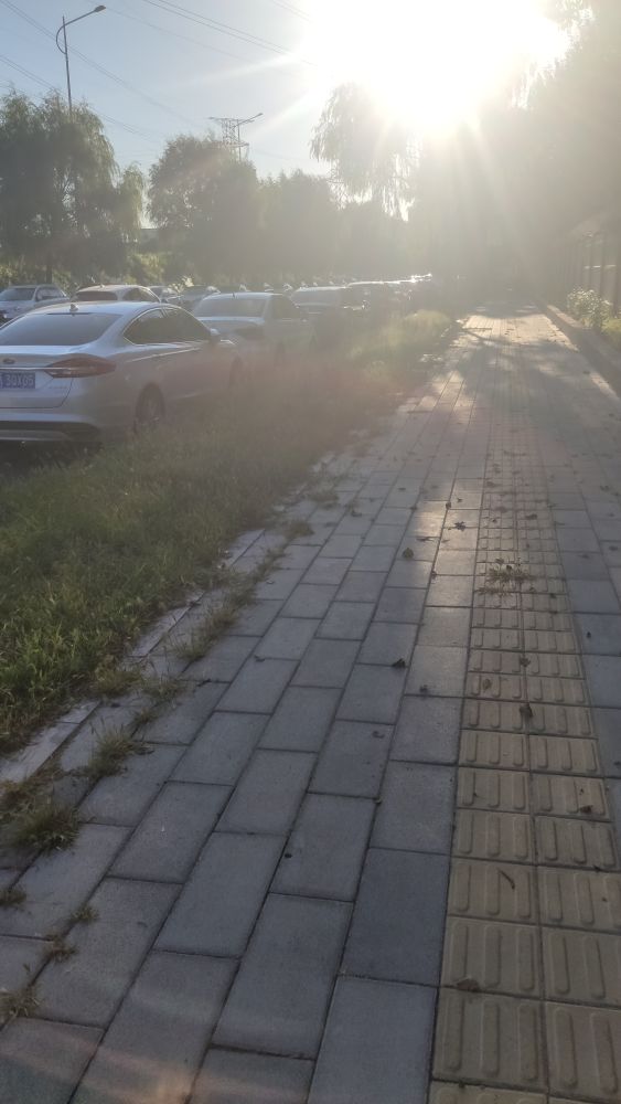 万物静观皆自得，只有四十不惑，才能把人生看得清清楚楚明明白白