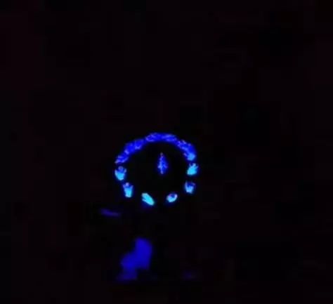 「长沙理工大学继续教育学院元旦晚会」2020，携手同行