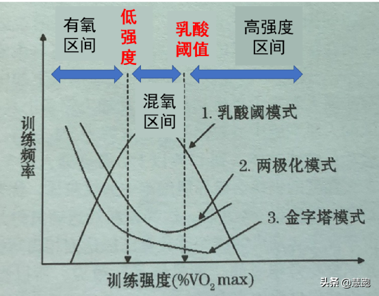 奥运会男子跑步哪些项目(研究分析：顶级中长跑运动员的训练特征以及方法)