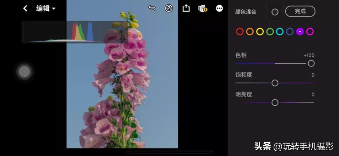 拍花后期！调色用对了，就很有春天的感觉