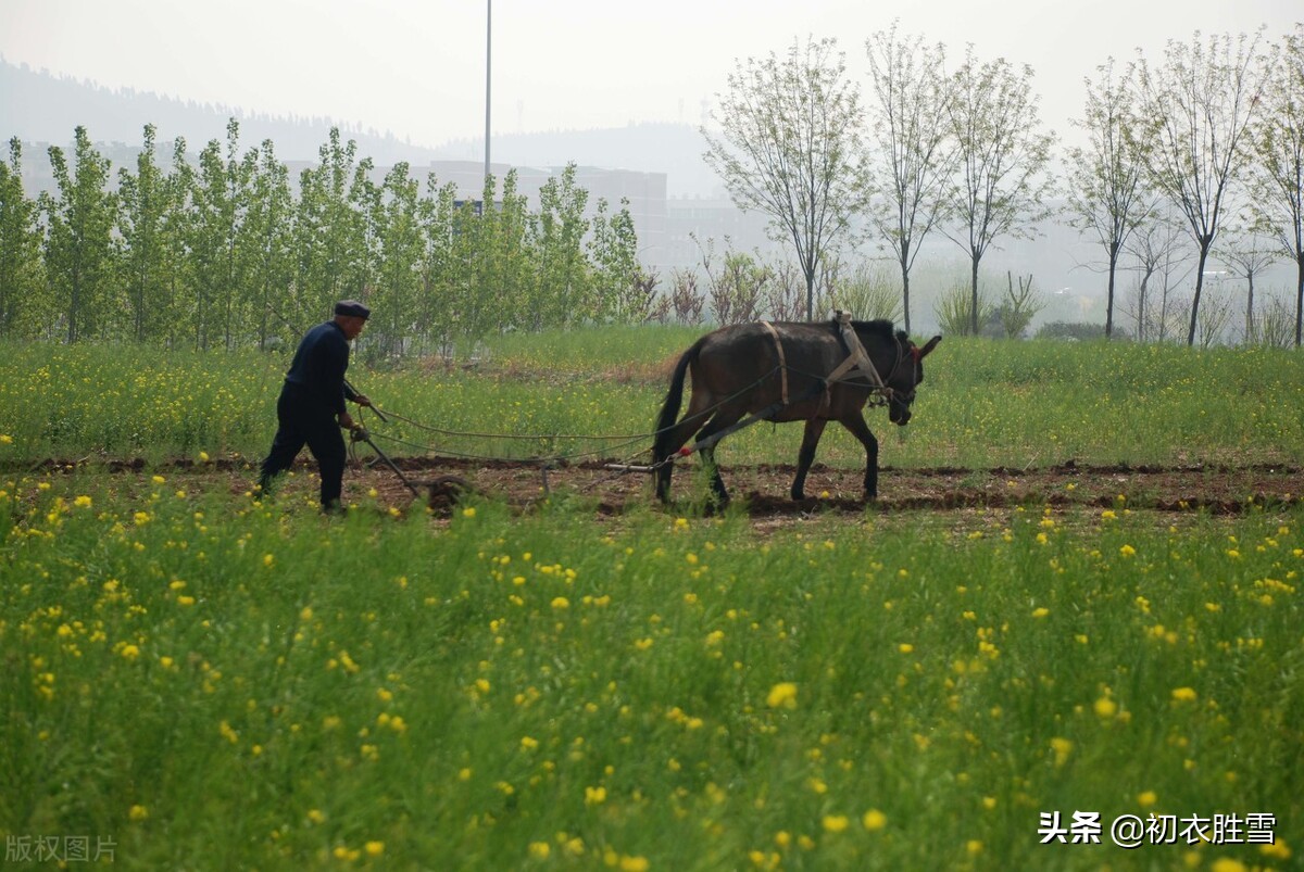 父亲节关于父亲的古诗五首，汝父年来实鲜欢，父亲的责任与情怀