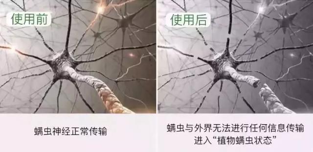 螨虫的克星是什么(螨虫最怕的天敌，不是暴晒太阳？教你用点“花椒”，让螨虫消失)