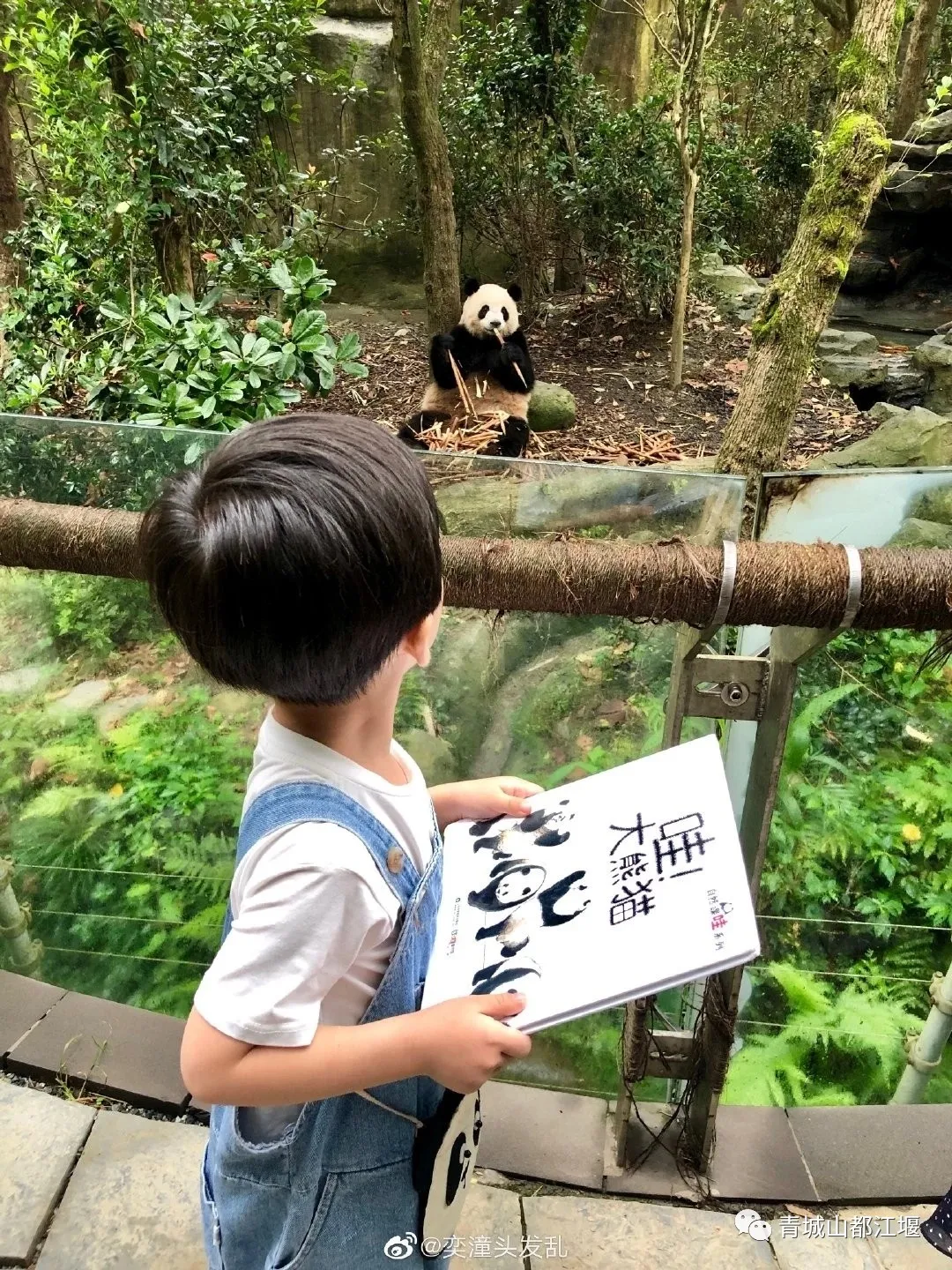 今年五一去哪儿玩？盘点都江堰18处人气游玩地，带你经典“三遗”游、初夏耍雪漂流...攻略只看这篇就够了～