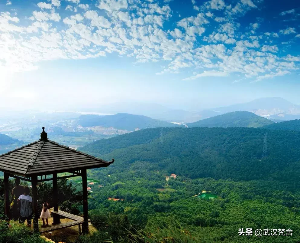 1400多亿开个会!2019 武汉军运会,最全攻略