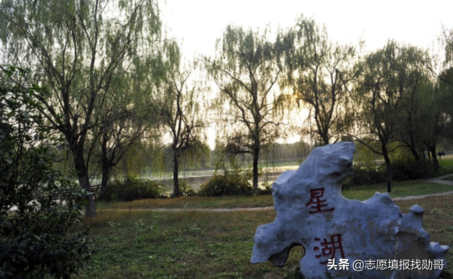 厦门嘉庚，中山南方，南大金陵，独立学院全国三强，哪家最强？