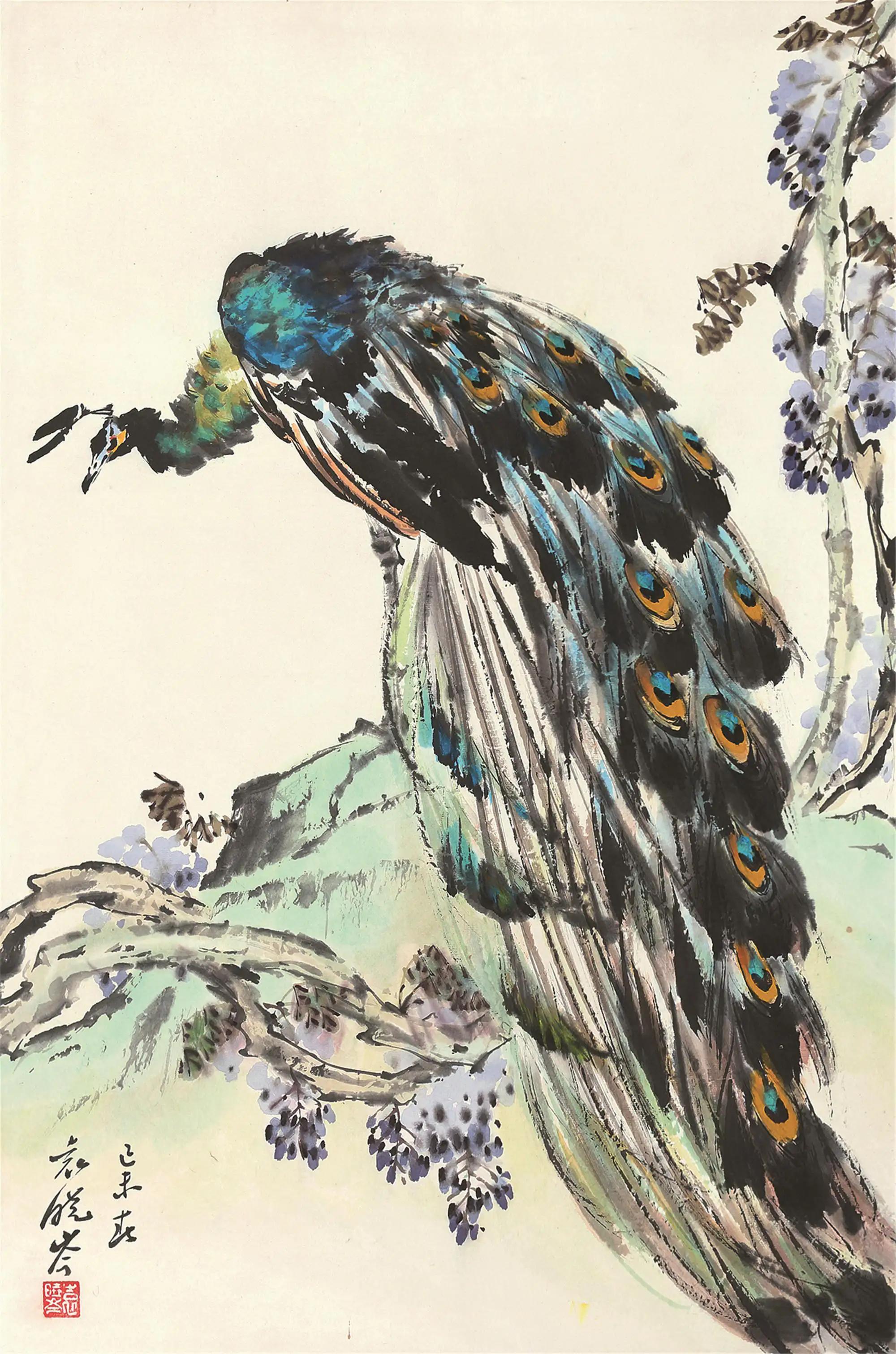 孔雀东南飞！高贵、冷艳的白孔雀