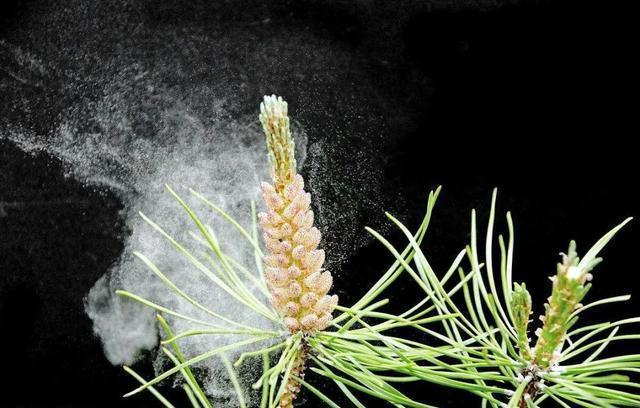 春天来了，花儿开了，眼睛又红又痒怎么办？