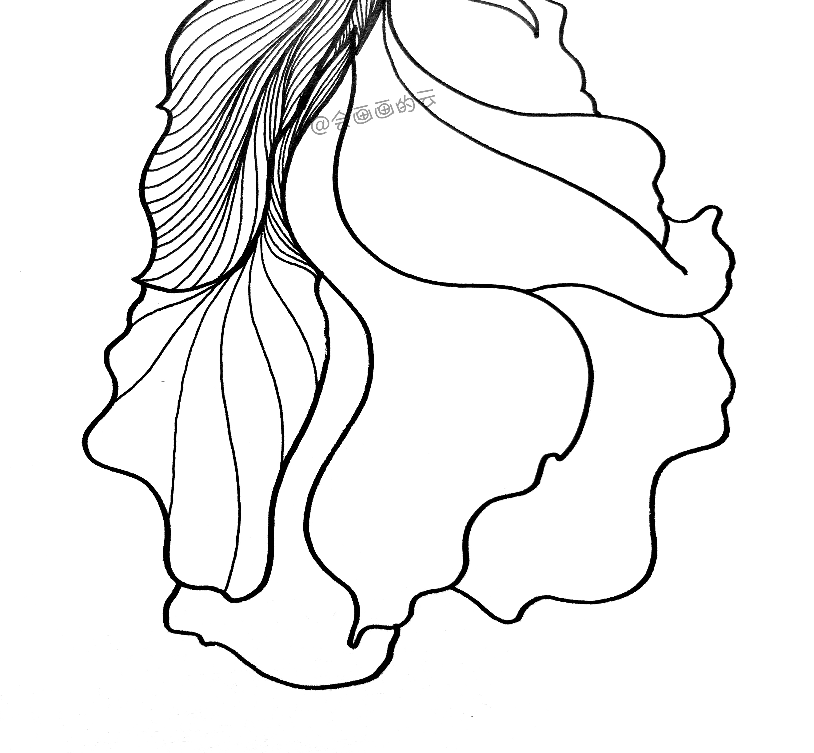 3款简笔画金鱼，零基础也可以画的线描画