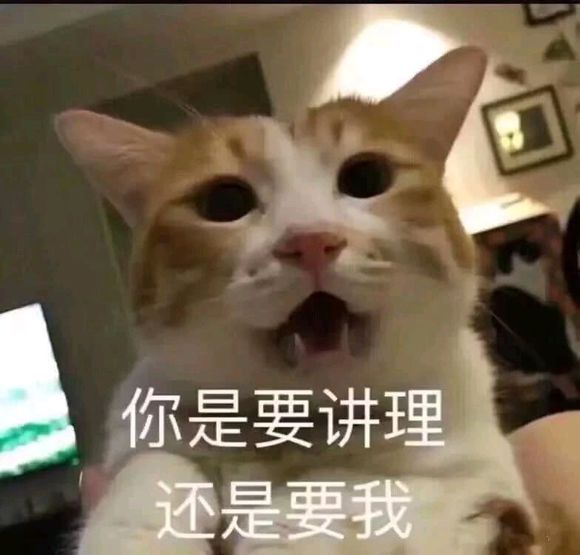 猫咪表情包｜劳资的心，收好