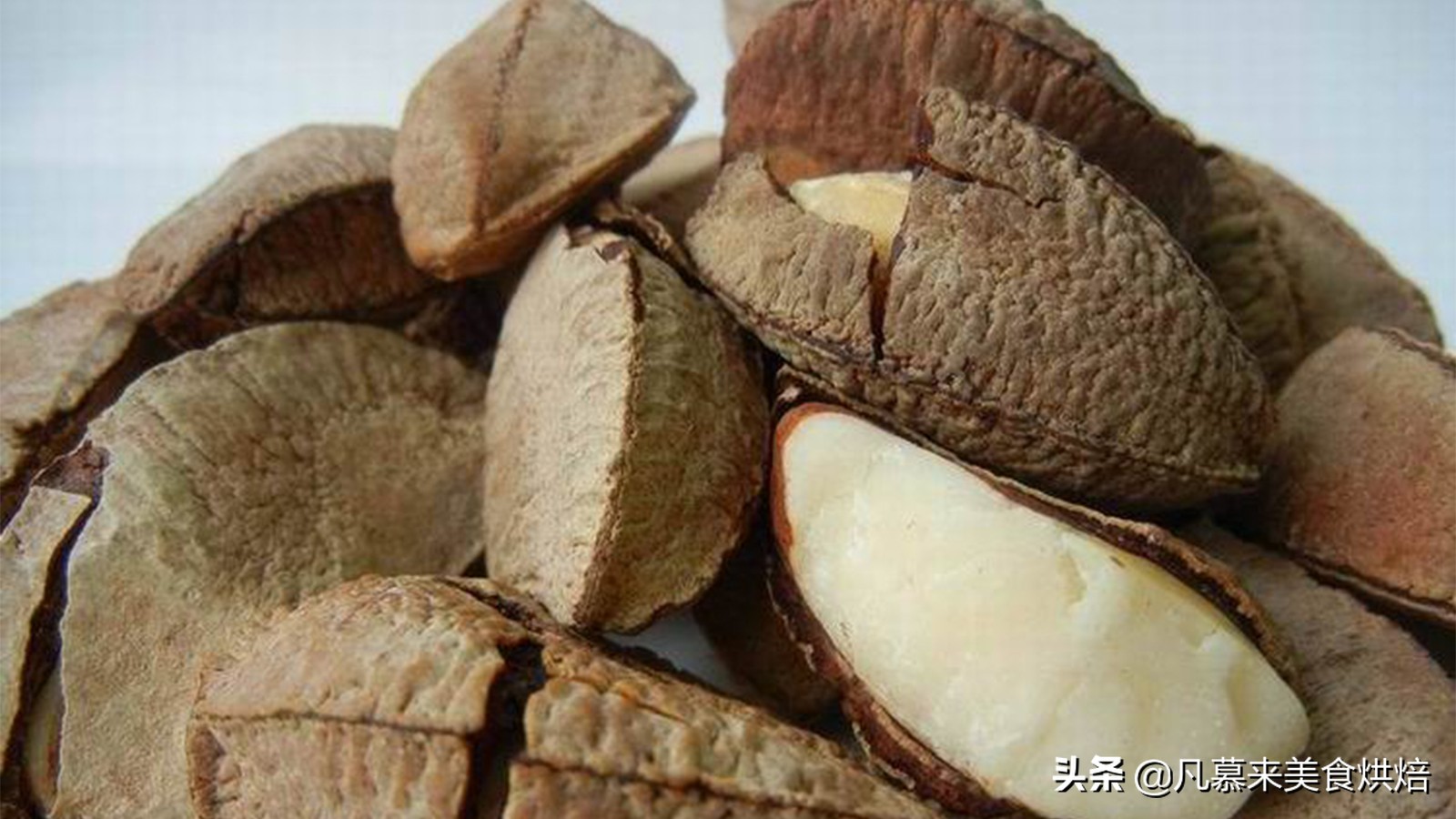 坚果类食品有哪些？25种坚果大全你都认识吗？坚果的吃法有哪些