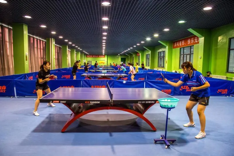 专业解读|体育教育、运动康复、运动训练、武术与民族传统体育