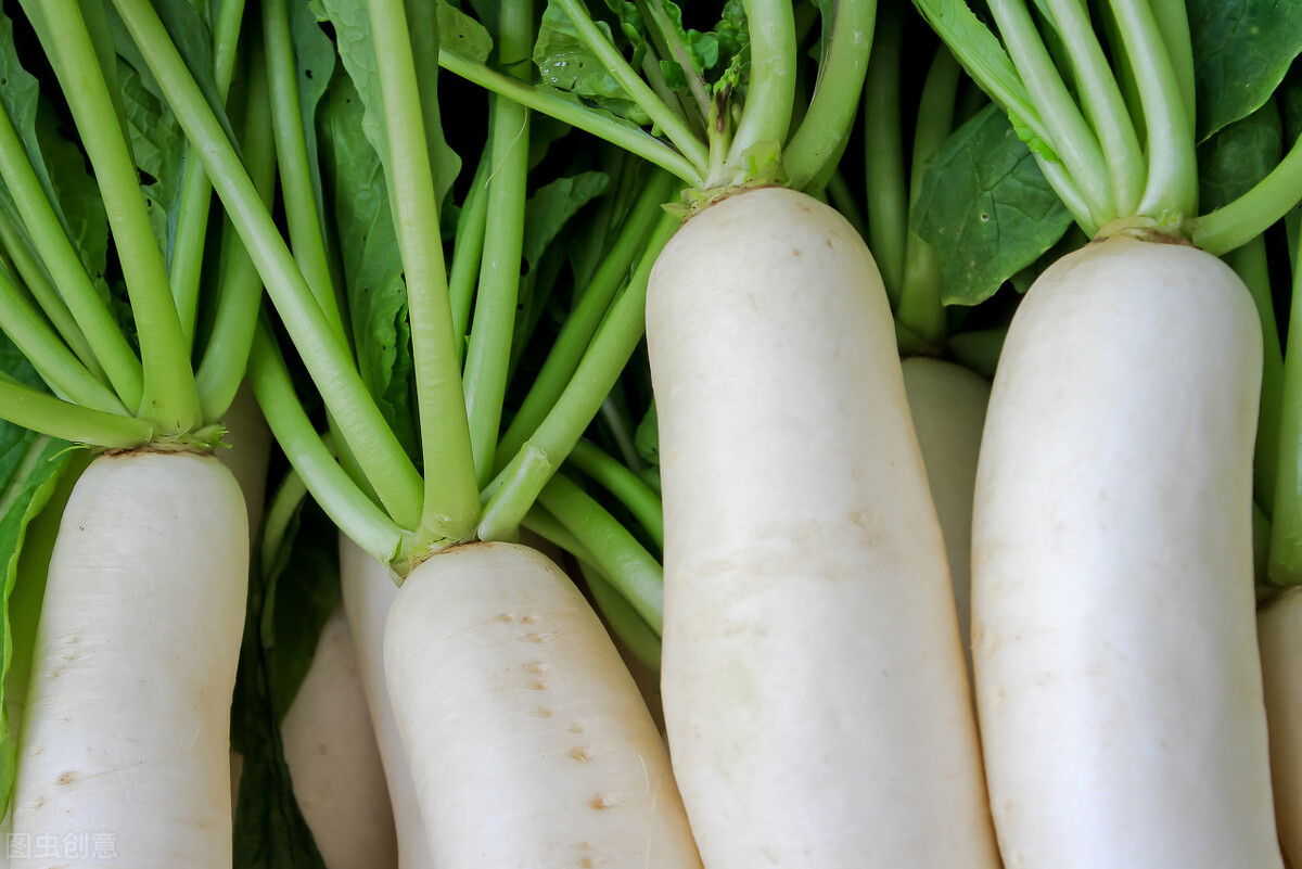 最适合冬天吃的蔬菜白萝卜,关于它的小知识赶紧来了解一下吧