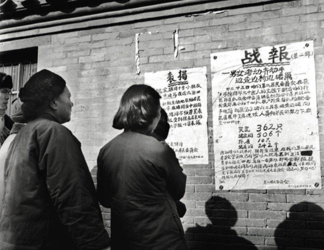 1958年的全民“剿雀”战：男女老少齐上阵，让麻雀几乎断子绝孙