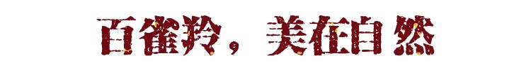 最美十大国货盘点：路虽长，却已看见希望