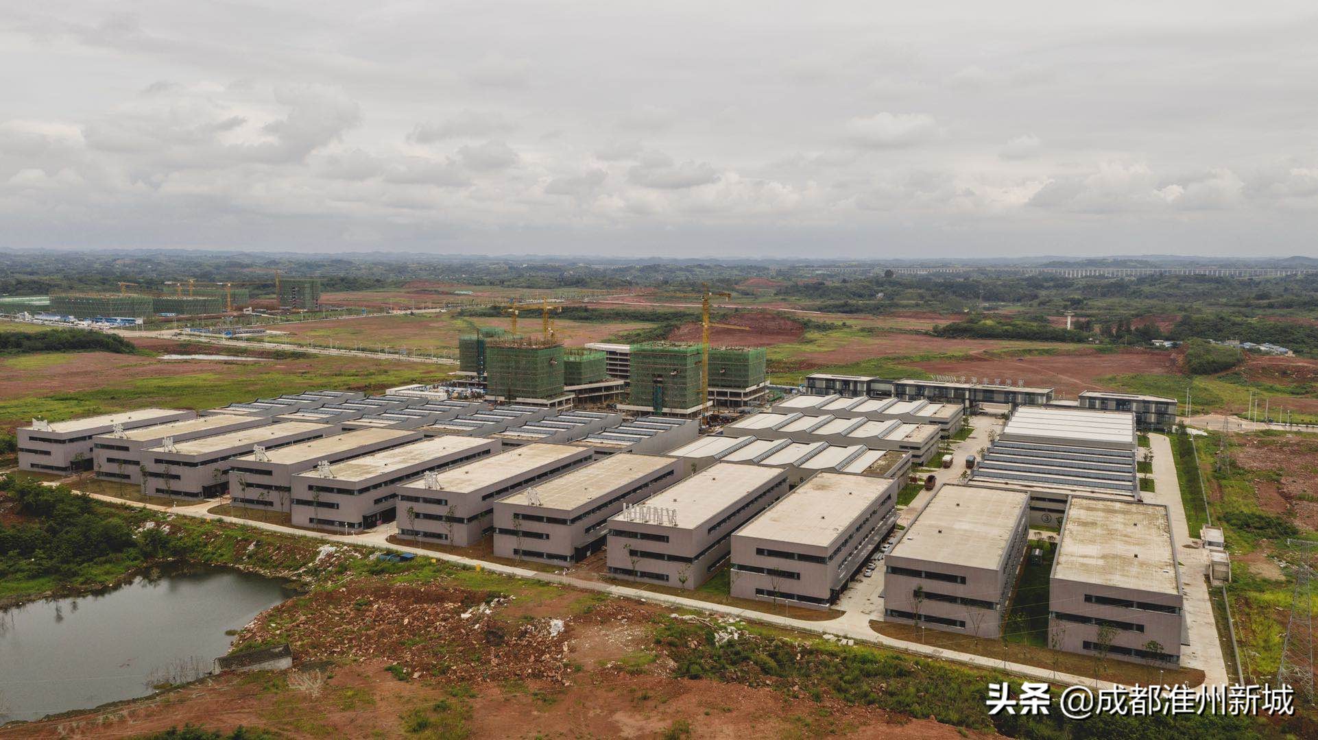 成都国际职教城：官方规划布局图全解