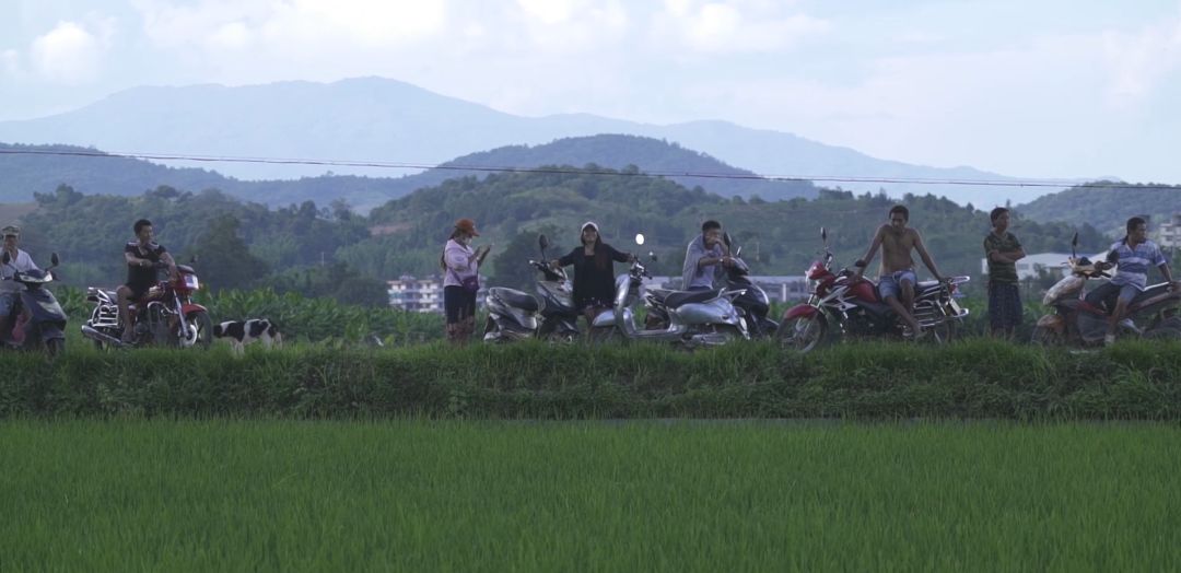 野生亚洲象又调皮了，进村抢粮食破坏房屋，村民称别伤人就行