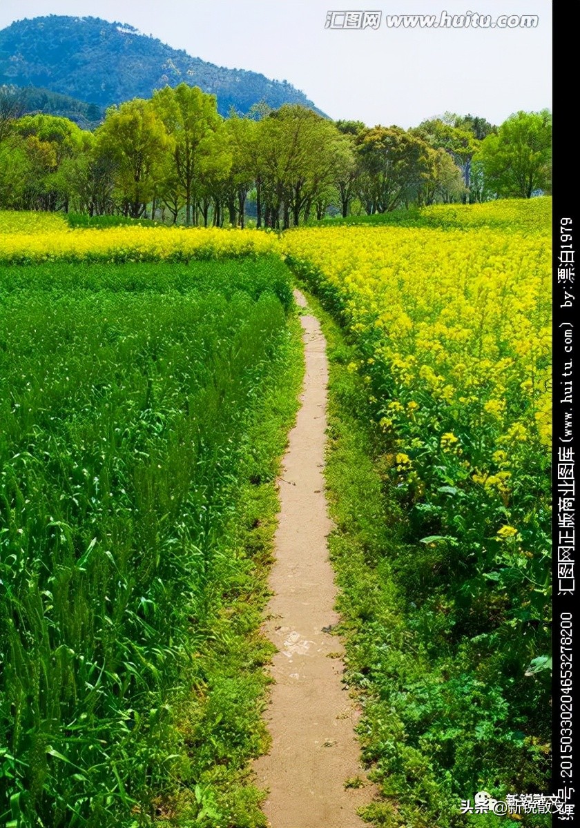 我的身上带着泥,我命里已经抹不去泥在身上的那层土黄