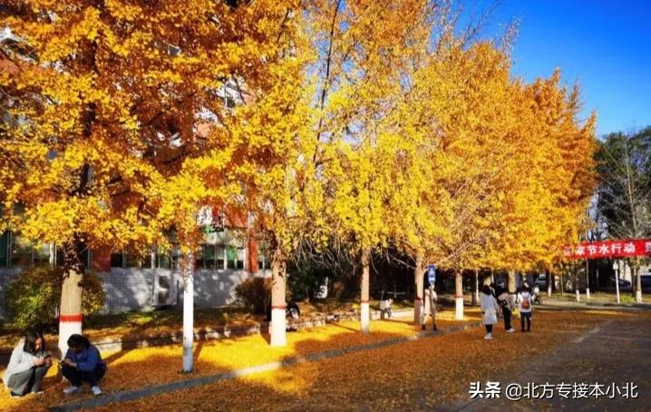 河北省最早成立的四所师范之一——邢台学院