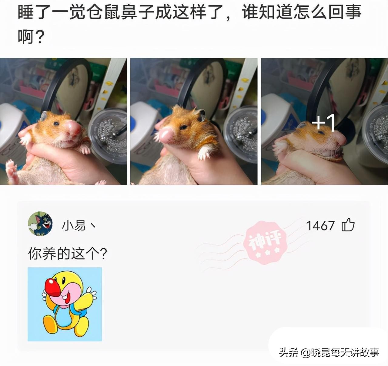 神回复：拔一颗牙要1200，凭什么这么贵？看到牙我明白了