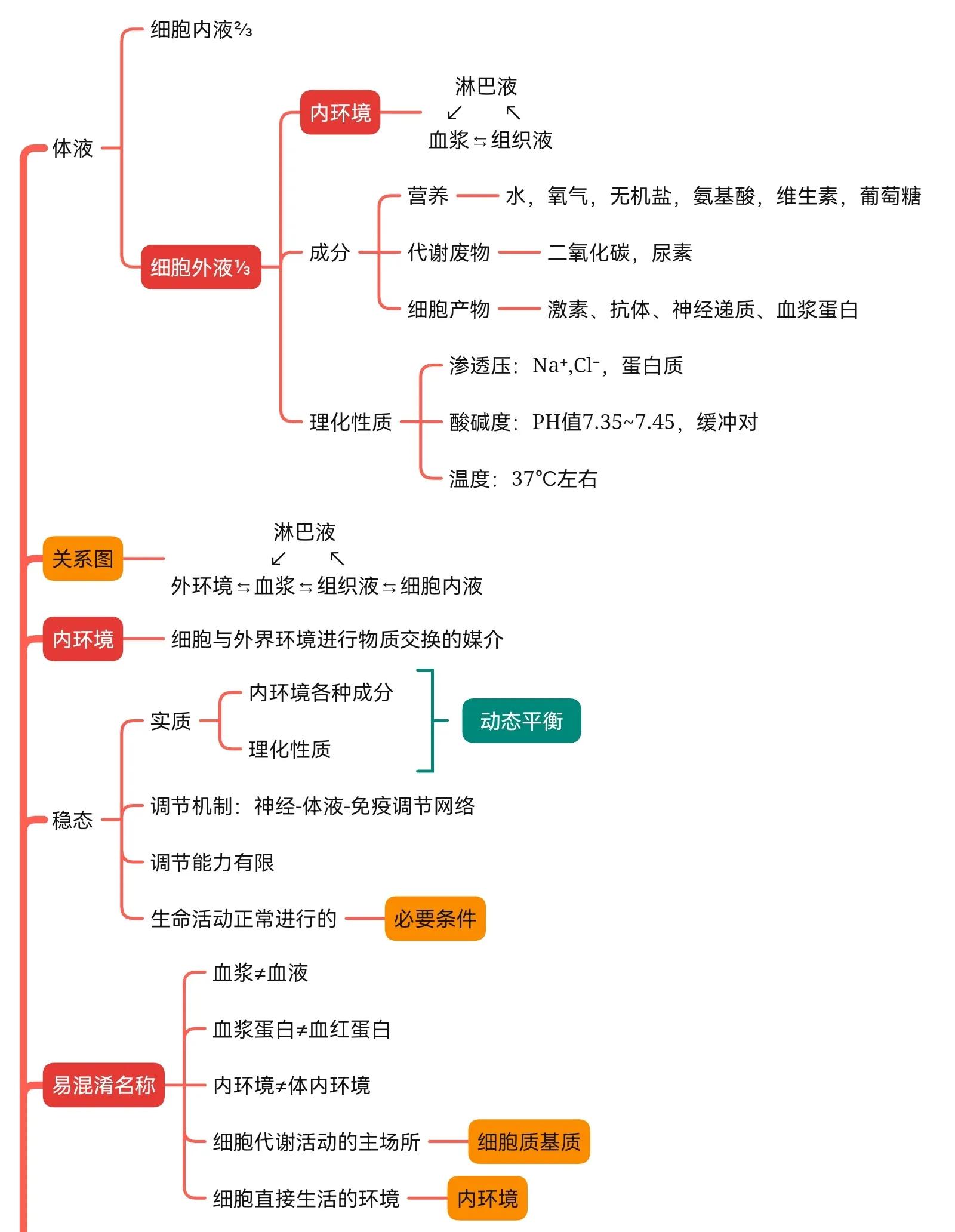 高中生物选择性必修一思维导图