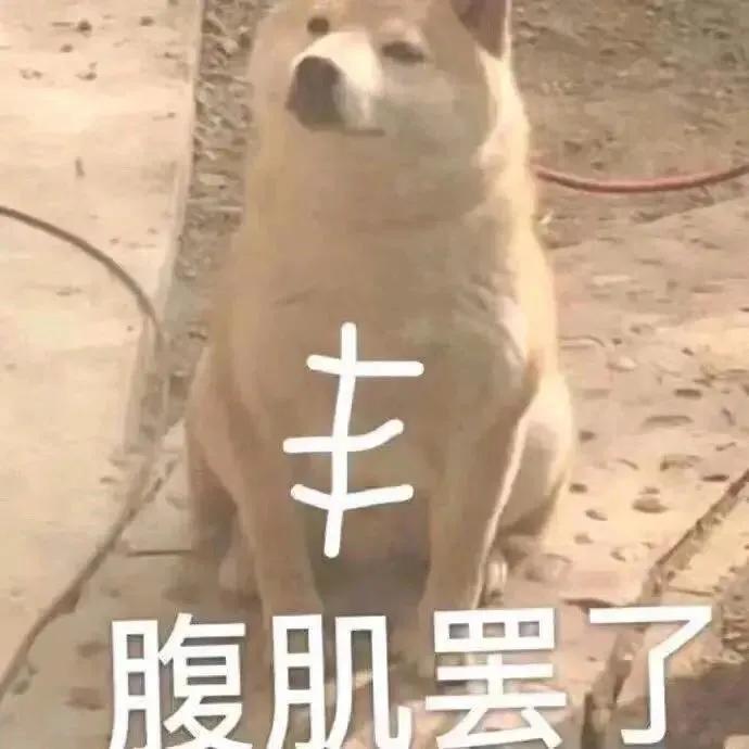 表情包：才不在你这做没人要的委屈鬼