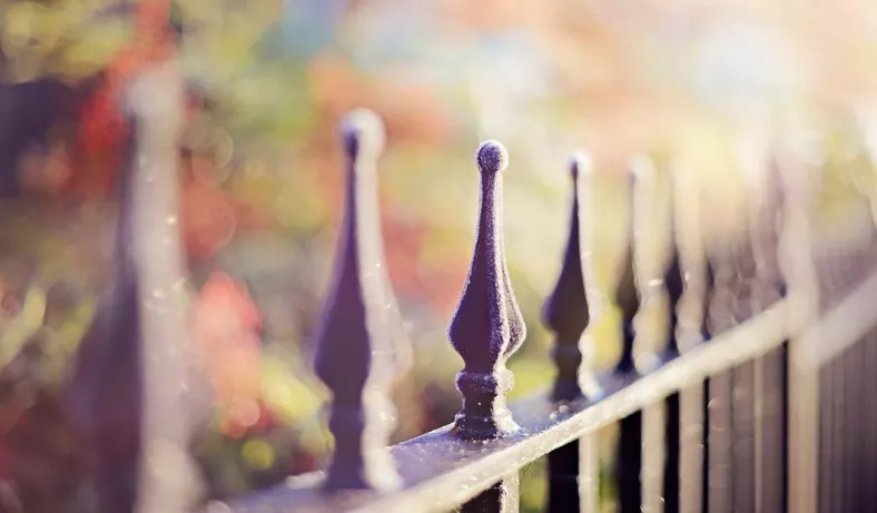 真正的友情:不刻意,不怀疑,不背弃