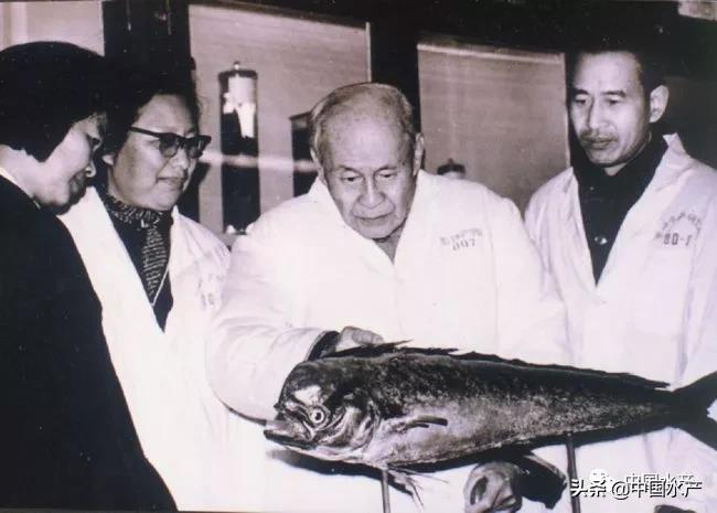 从“谁来养活中国”到“水产养殖业对世界是一个重大贡献”的伟大进步