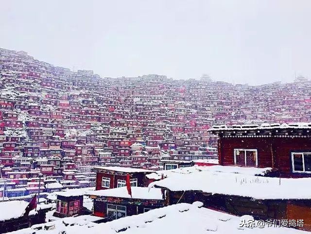 红墙，白雪，琉璃瓦，大雪压青松