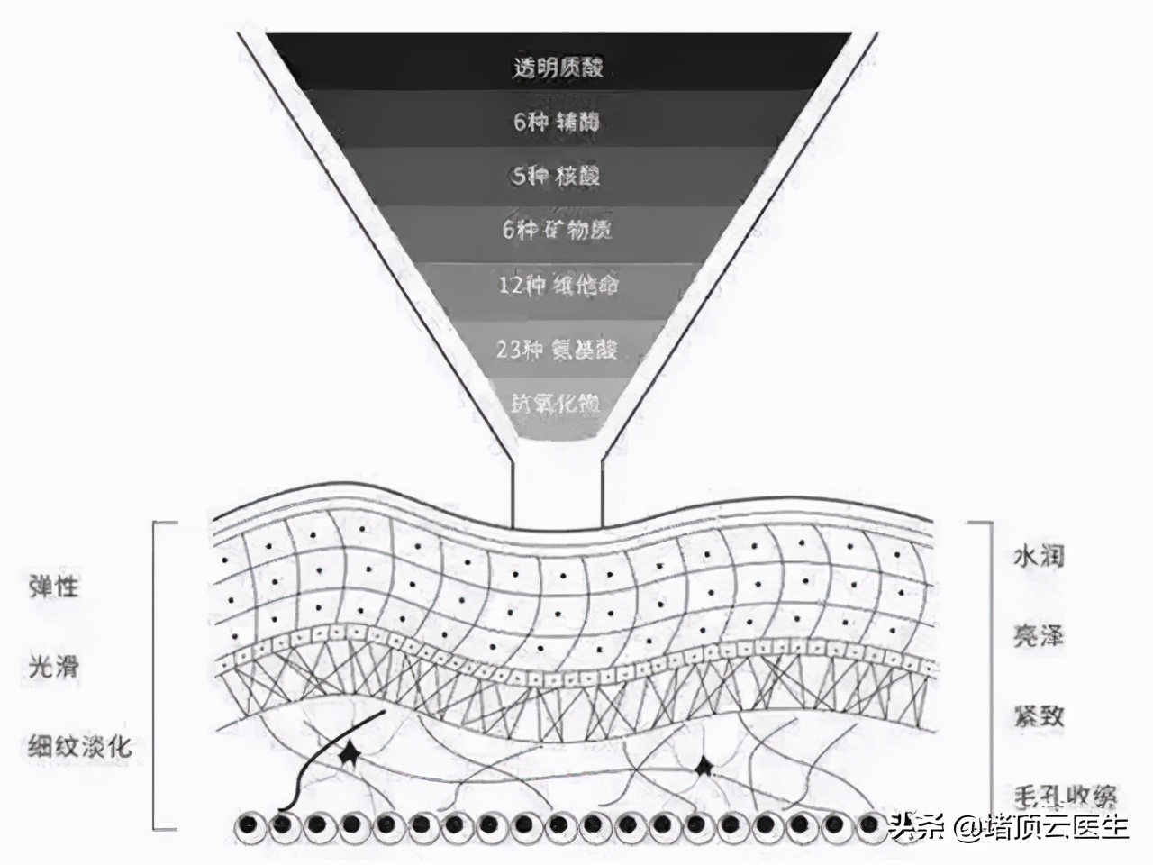 同样是水光针，菲洛嘉水光针和普通水光针该如何选？