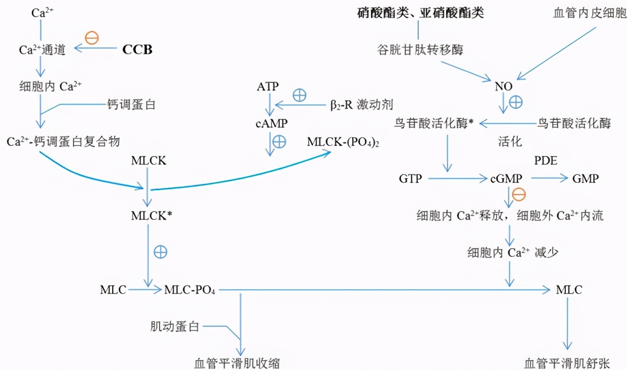 得了冠心病，整天担惊受怕的，就怕心梗猝死，该怎么办