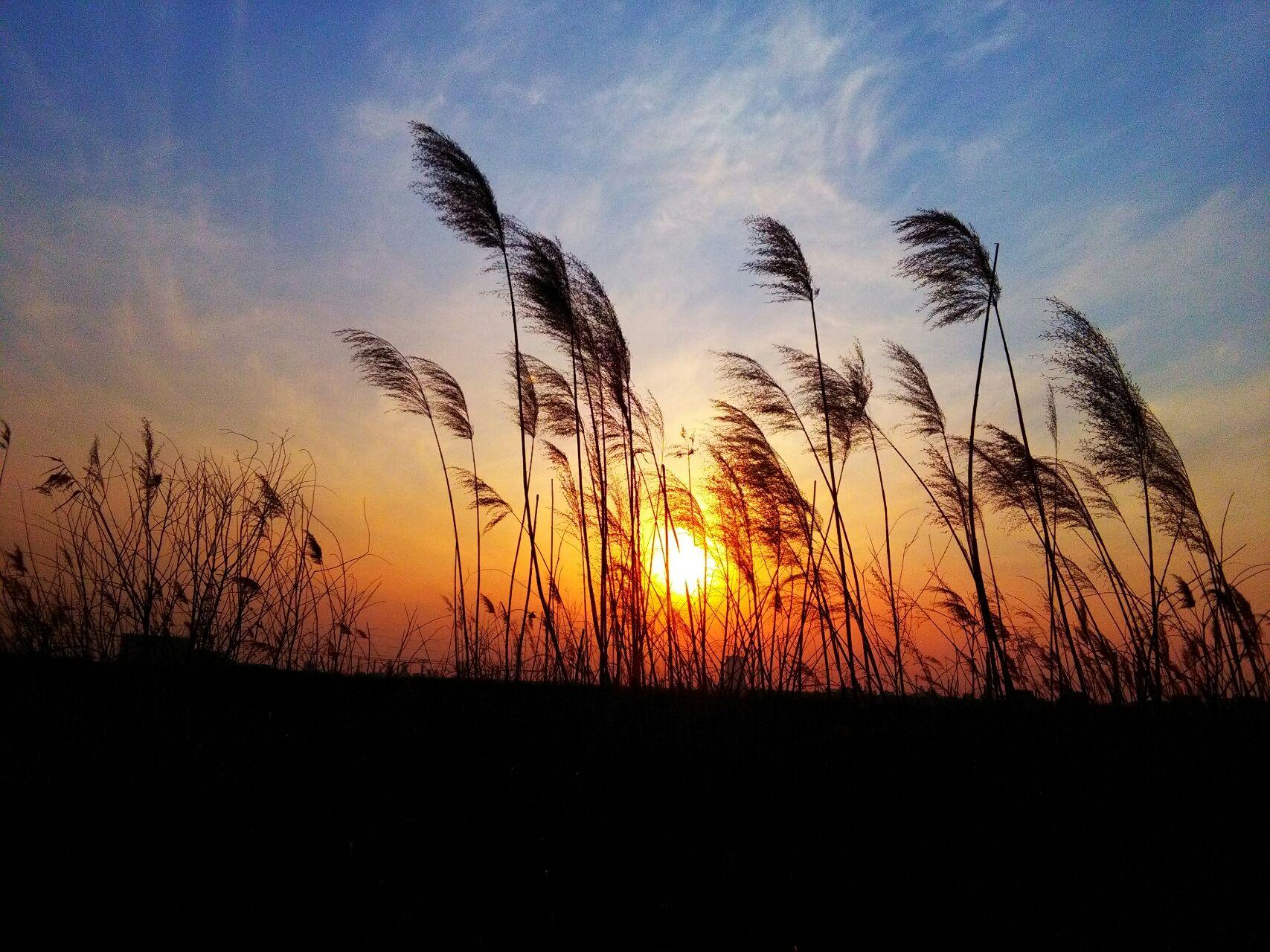 夕阳西下的唯美句子图片 适合发日落的朋友圈图片