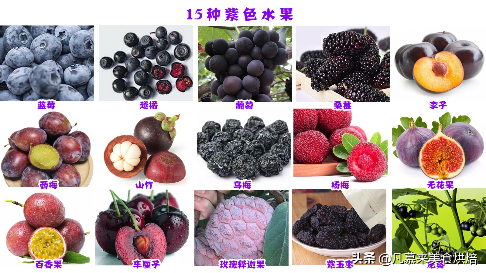 紫色的水果有哪些（盘点15种高营养的紫色水果）