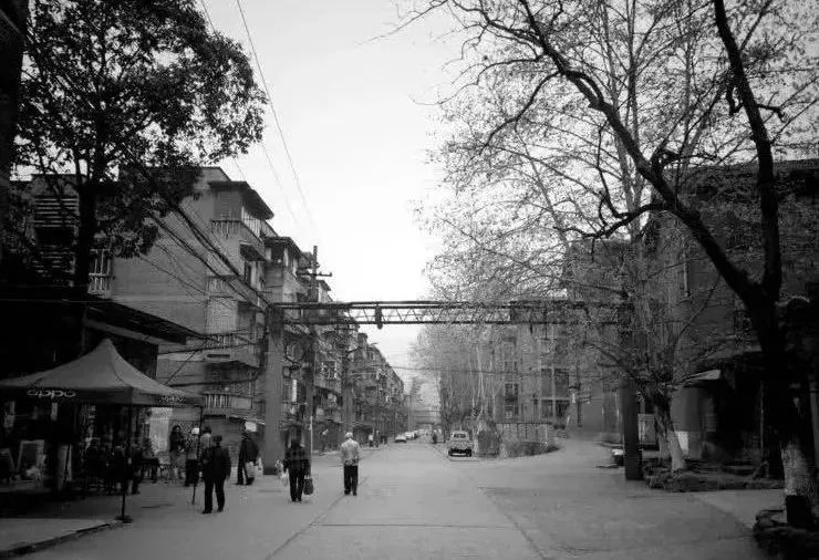 峡谷深处藏着古老小镇，拥有复古电影质感的金口河之旅~