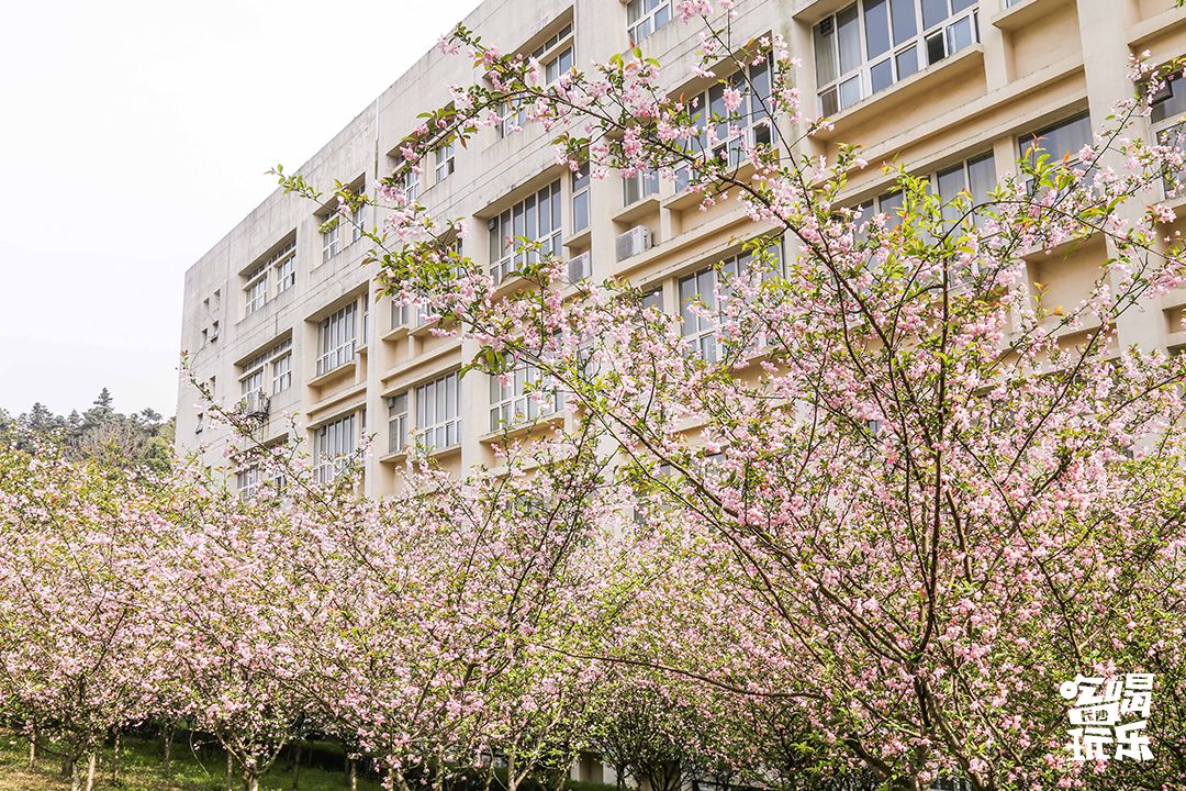 长大，不说再见！