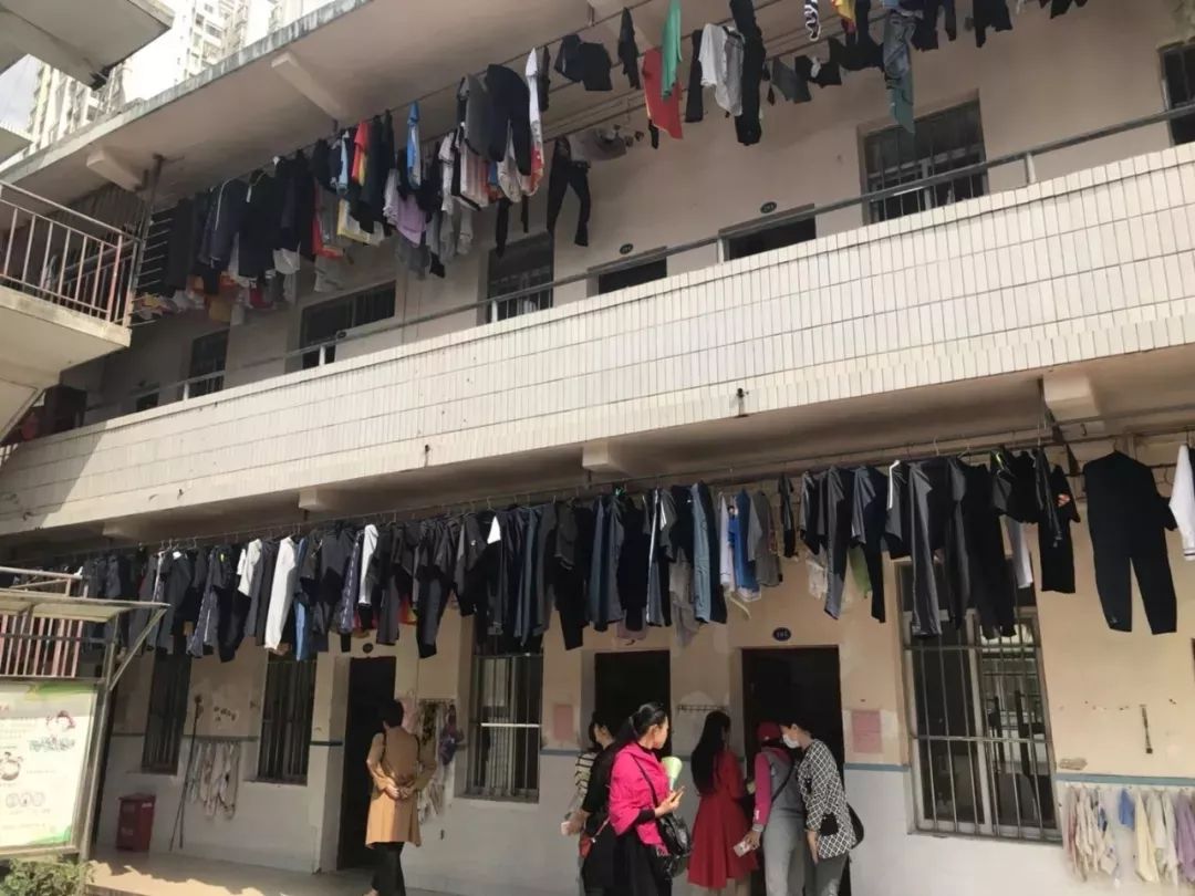 「名校解读」学子乐园、人才摇篮——广西民族大学附属中学