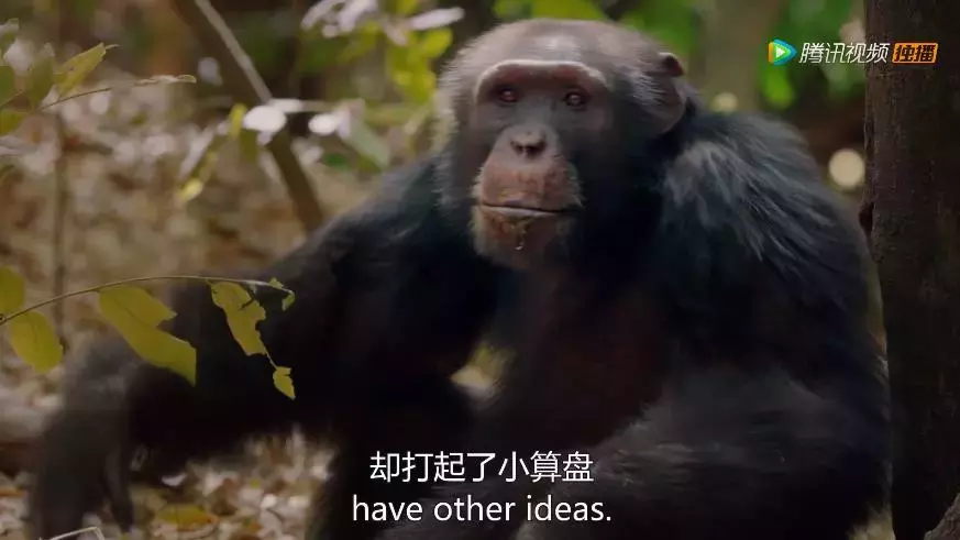 有的做人不及格,有的做到近满分