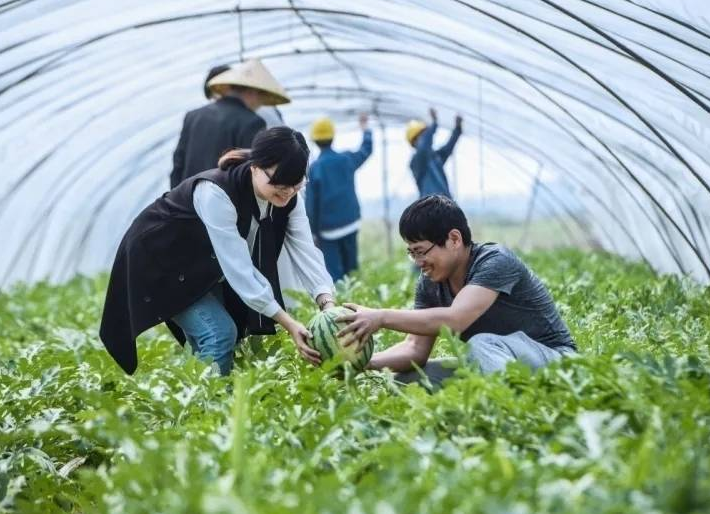 农学生挂科理由有多奇葩？西瓜被偷不算啥，油菜花被吹折太好笑了