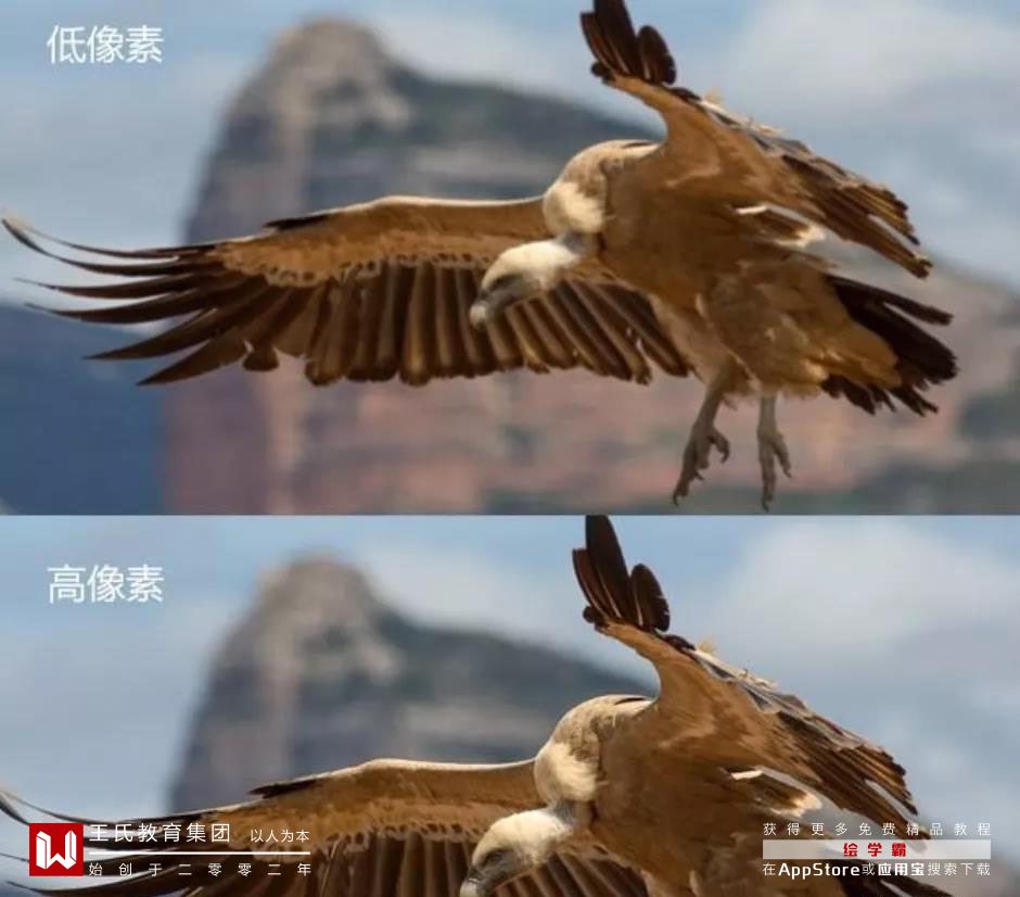 教你如何選擇電影視頻資源下載，BD,1080P都是什麽意思？