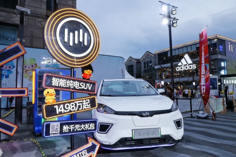 真实车主谈威马：不是小众选择，我是主流玩家