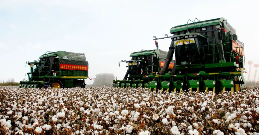 从“棉花战”看八大纺织高校,这些高考知识点第一时间把握