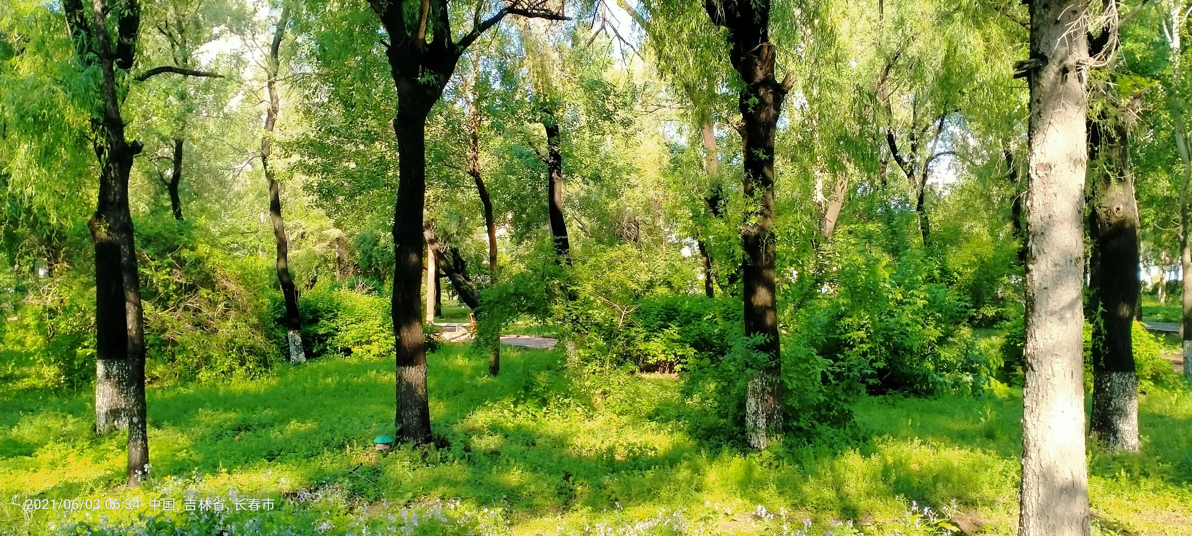 长春师范大学——竟然这么美