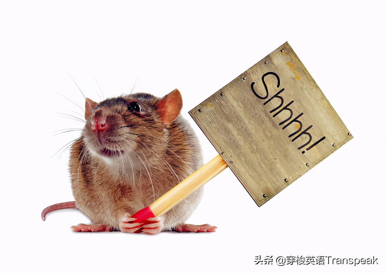 quiet as a mouse 安静得像只耗子？就是蹑手蹑脚呗