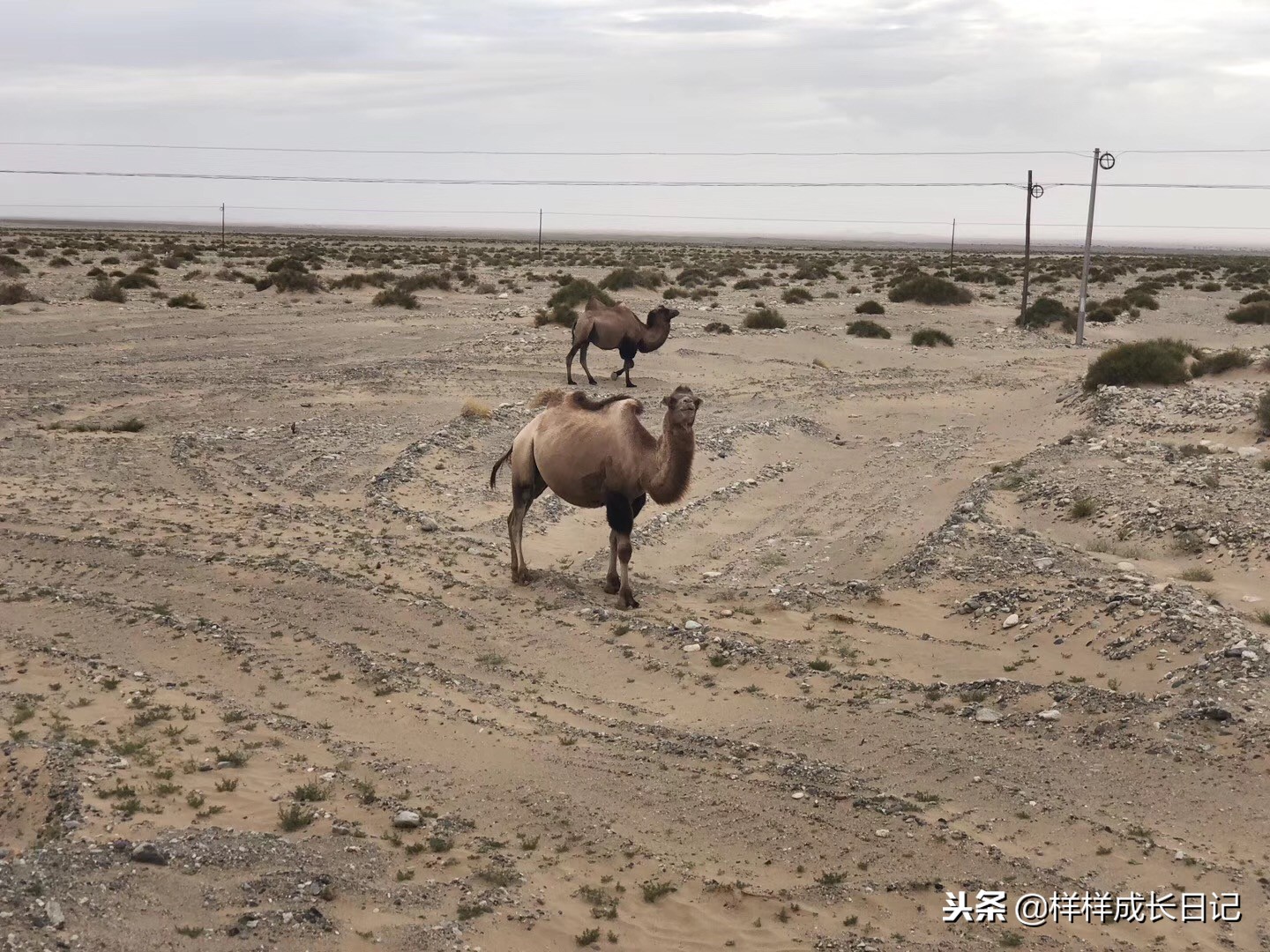 一家三口自驾去新疆，环南北疆27天15000公里，吃住行玩详细攻略