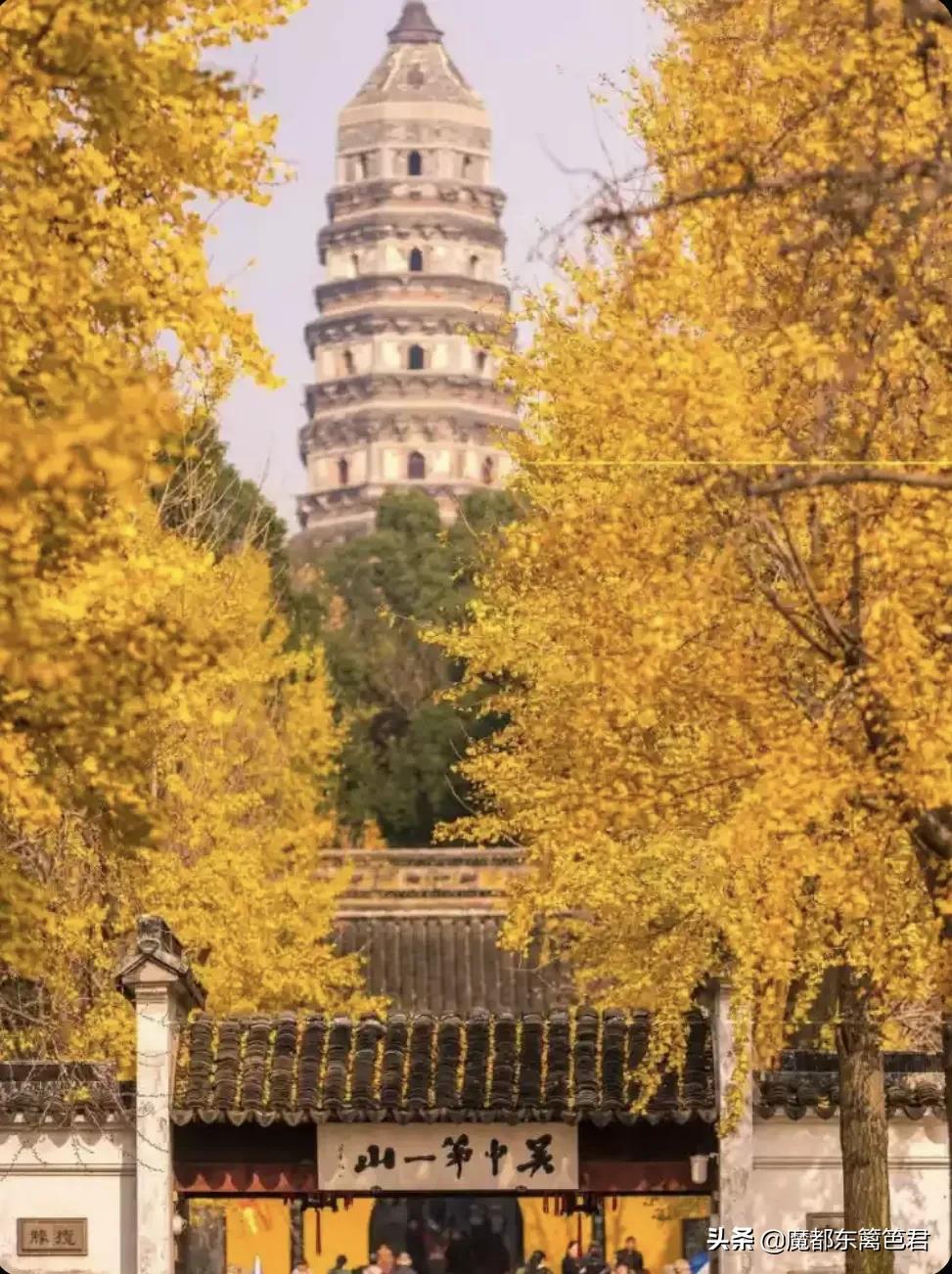 原创诗词 游虎丘有感（游虎丘小记）