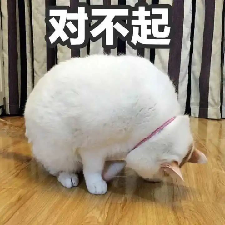 yyds, nbcs, xswl 都是什么意思？00后“网络黑话”你认识几个？