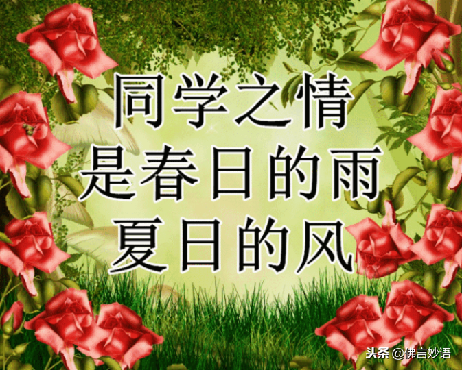 佛言妙语】同学情，永难忘，祝福每一位老同学平安，健康，快乐！