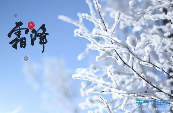 明日寒露，农谚“风大夜无露，阴天夜无霜”，咋说？道理在哪？