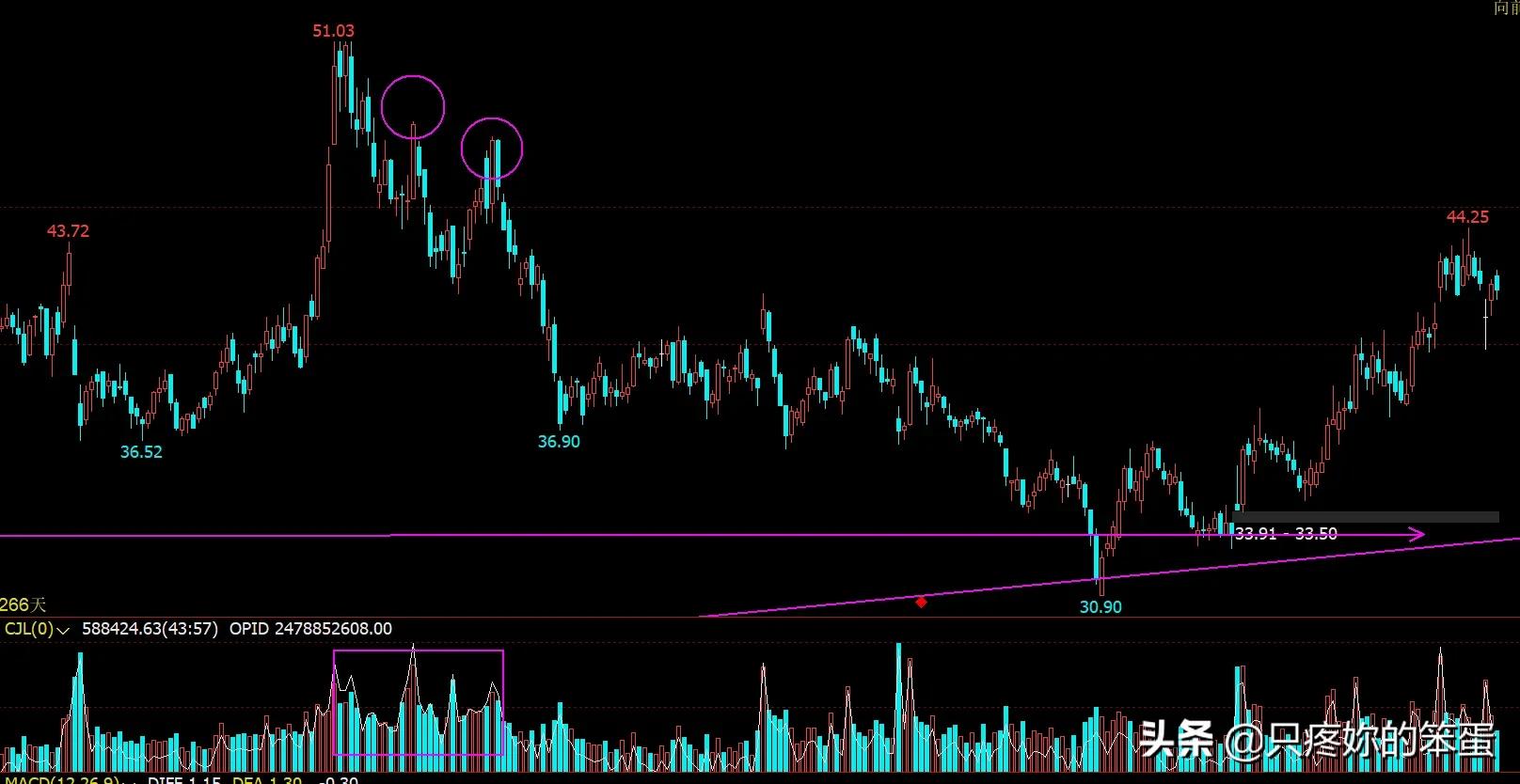 伊利股份走势演变与技术分析(伊利股份走势明天会怎样)
