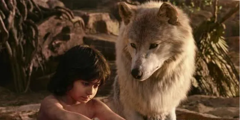 西班牙真实“狼孩”，与狼群一起生活了12年，后来怎么样了？